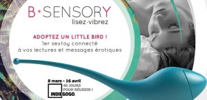 sextoy little birds